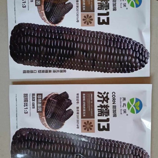 济南黑糯玉米种子 黑珍珠黑玉米种子常规种 ≥90%