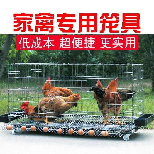 鸡笼子家用大号特大养殖鸡笼鸡舍鸭笼鹅笼狗笼自动滚蛋鸡笼