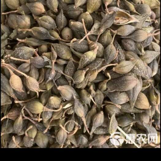洪洞县水煮青翘