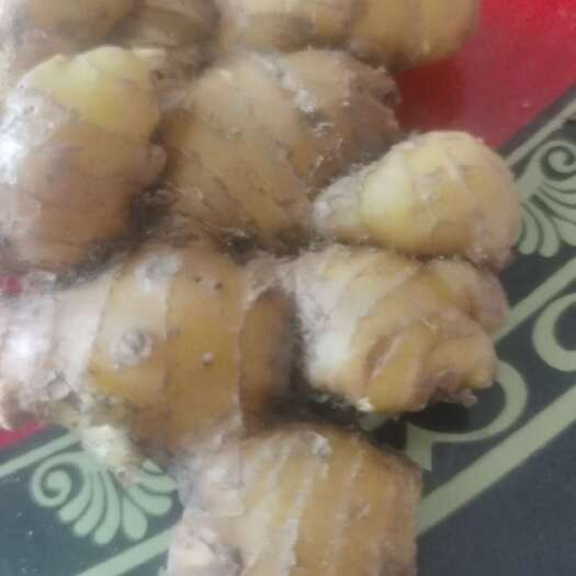 金寨县小黄姜