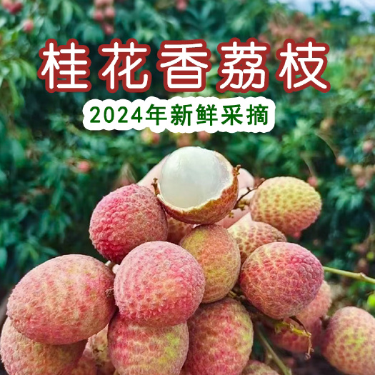 海南早熟荔枝桂花香荔枝酸甜多汁1/3/5斤一件代发包邮批发