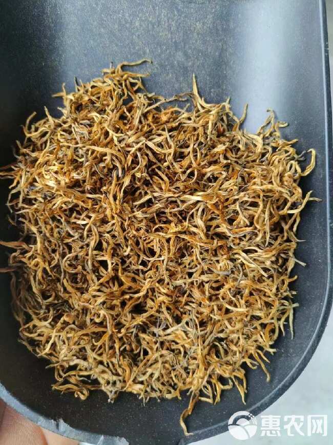 滇红茶单芽红茶 云南凤庆滇红大金针针 蜜香浓香型古树红茶散装