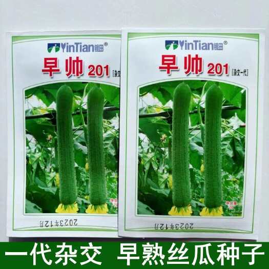 沭阳县早帅201丝瓜种子高产早熟肉丝瓜香丝瓜爬藤春夏秋季四季蔬菜种