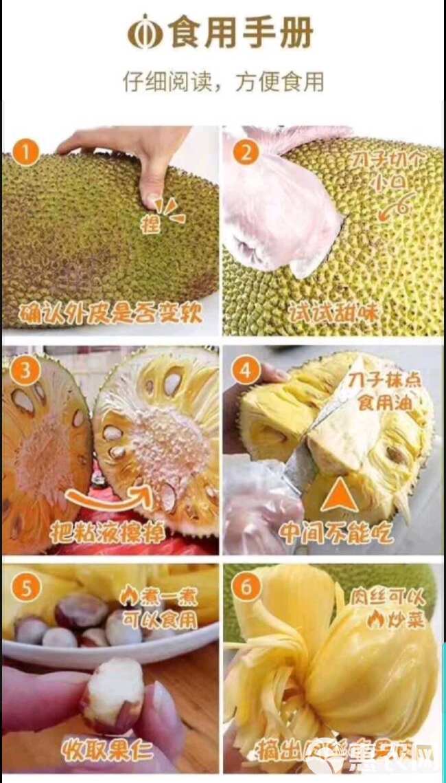 越南产地直发红肉菠萝蜜泰八新鲜水果一件代发包邮
