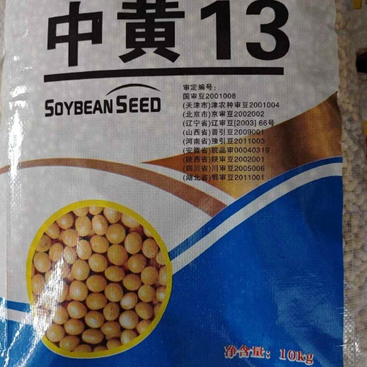 永清县黄豆种子生产公司批发直销