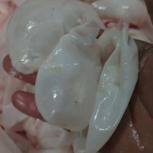 沈阳爽脆可口 可做食品