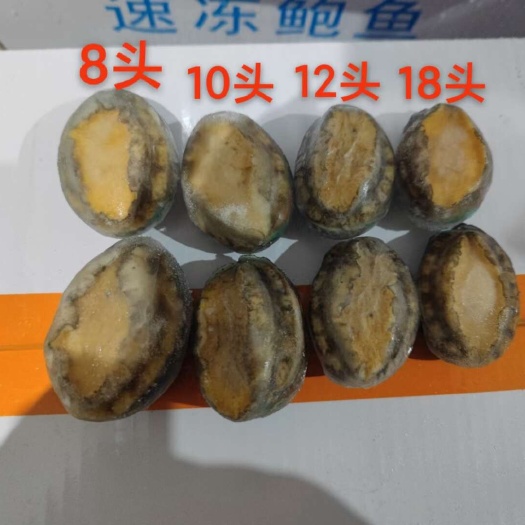 鲍鱼