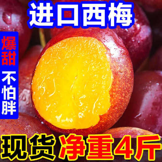 【甜】智利西梅新鲜水果宝宝辅食李子单果18g起非新