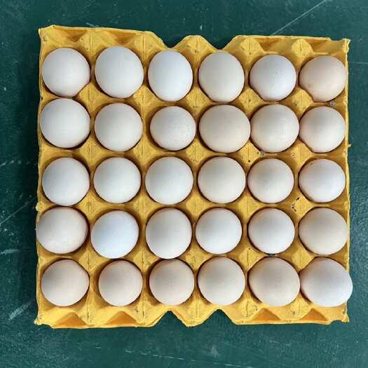 孝感鸡蛋