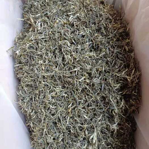  绿茶