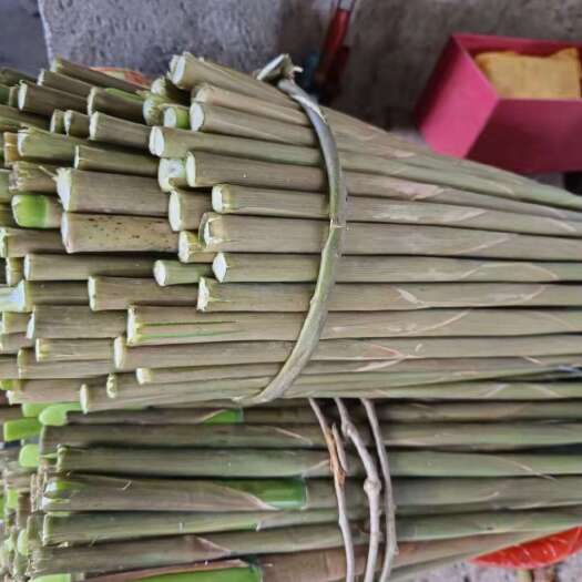 全州县山笋大量货源