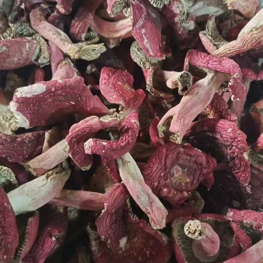 红菌，野生红菌