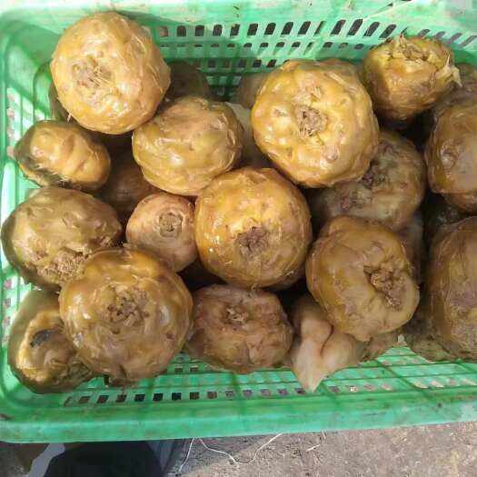 汝阳县大量批发腌渍狮子头芥菜疙瘩