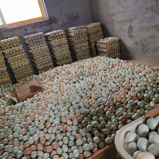 桂林农家土鸡蛋