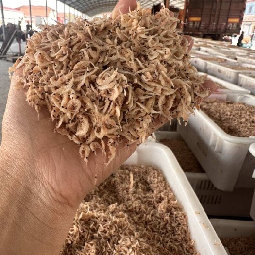 滨州饲料。食品厂添加虾。