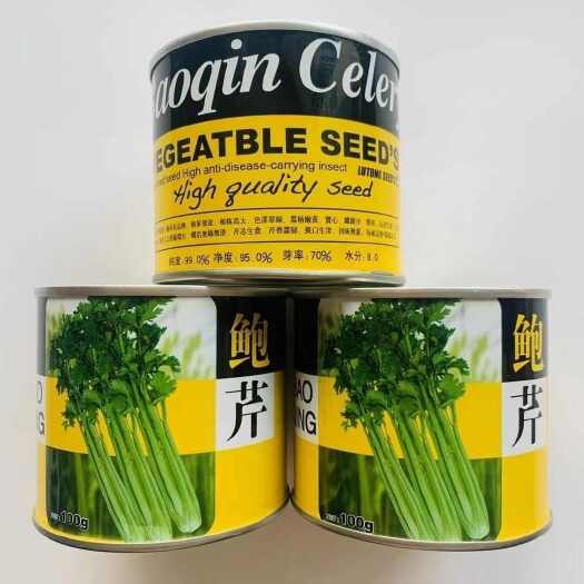 鲍芹种子礼品芹菜种子高品质芹菜基地专用芹菜籽芹香浓郁菜种