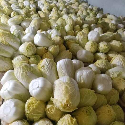 昆明大娃娃菜
