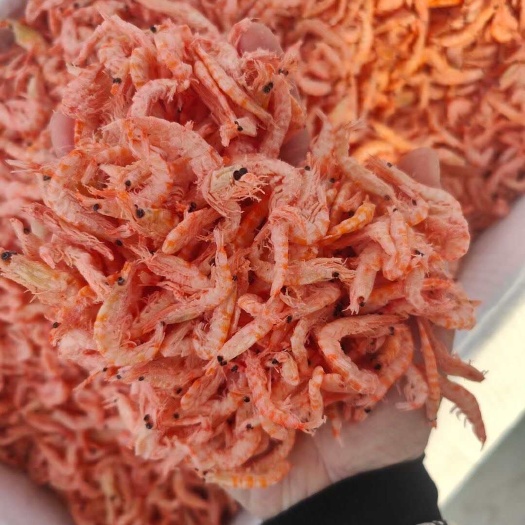 磷虾 磷虾皮 磷虾干 淡干磷虾 干度好 质量好