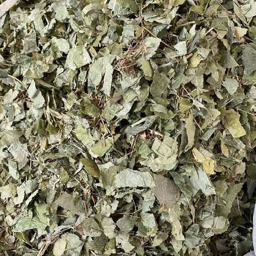 淫羊藿淫羊藿中药材泡水