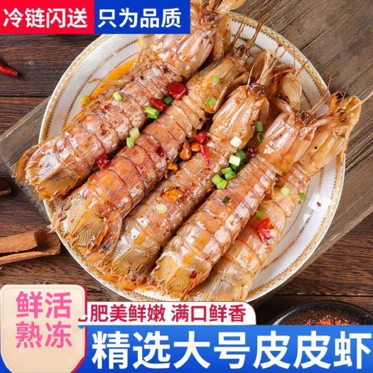 皮皮虾鲜活一名虾爬子超特大批发海鲜海虾新鲜蒸熟全母带膏皮皮虾