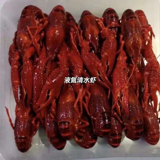 洪湖市清水液氮锁鲜虾，口感一流。