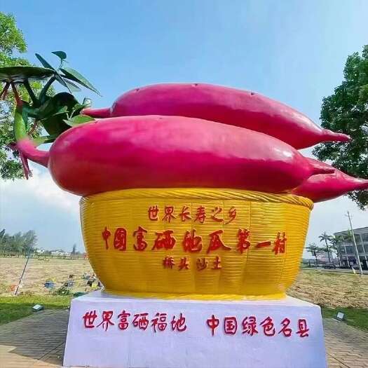 澄迈县桥头地瓜