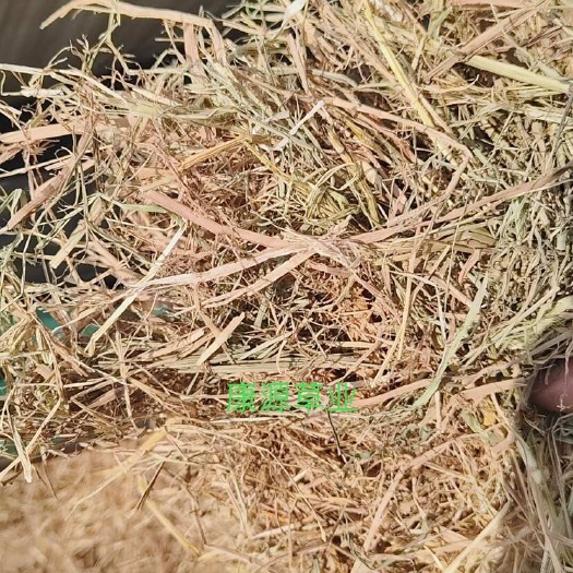 正阳县柔丝稻草、柔丝玉米秸秆、小麦秸秆、花生秧草料大量现货