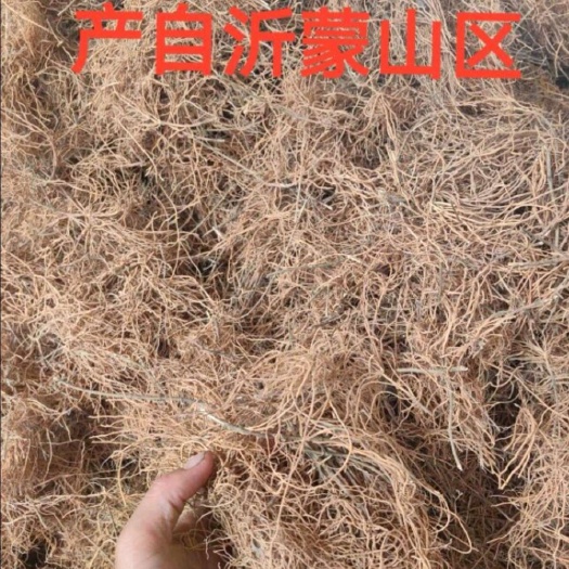 蒙阴县徐长卿