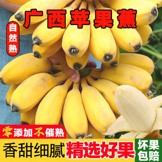 苹果蕉电商果供货一件代发，欢迎各渠道对接