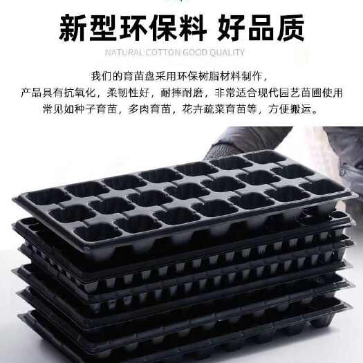 莘县批发育苗盘穴盘草莓玉米辣椒西瓜苗盘多肉叶插苗盘托盘育苗穴盘