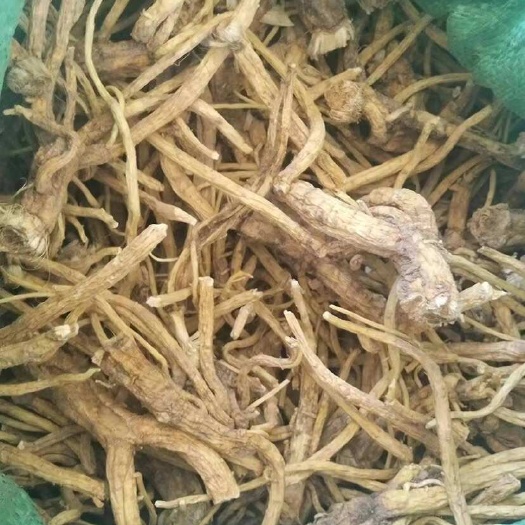 玉龙县高含量秦艽