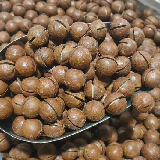 昆明云南夏威夷果