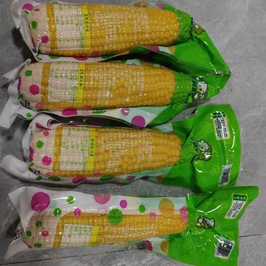 山西忻州黄糯玉米真空包装，常年稳定生产可市场批发一件代发电商