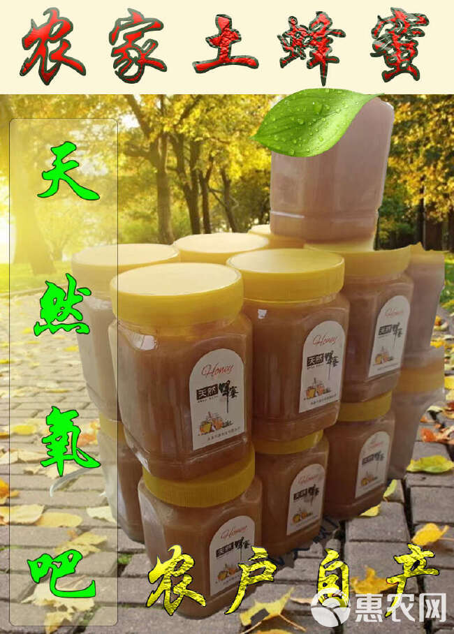 土蜂蜜农家自己养殖百花土蜂蜜 塑料瓶装 年批发包邮支持一件代
