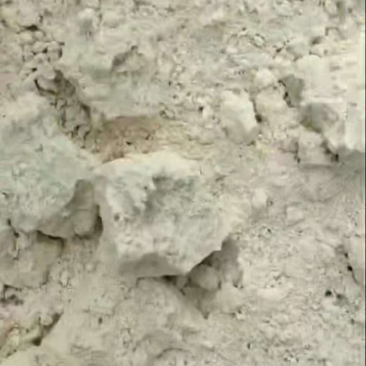 石家庄豆渣 蛋白20左右 水分75