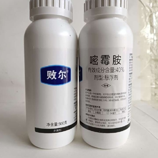 40％嘧霉胺对作物的灰霉病枯萎病黑星病有很好的防效