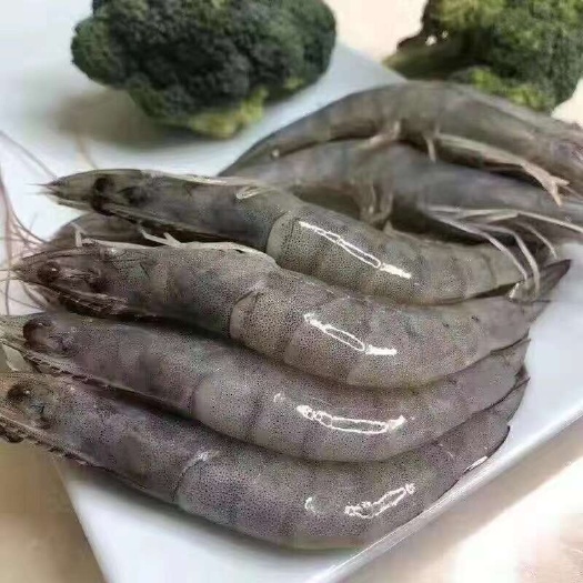 连云港【超大号大虾】整箱青岛大虾新鲜海虾冷冻鲜活水产对虾大白虾批发