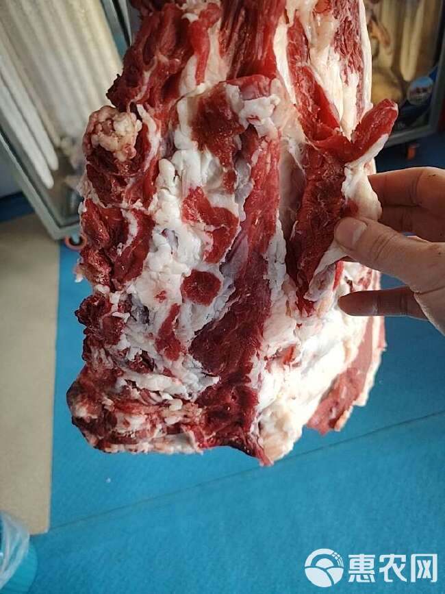 纯干满肉鲜牛排骨