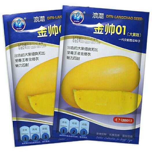 浪潮金帅01黄皮黄瓤黄肉西瓜种子礼品瓜四季水果种子早生抗病耐