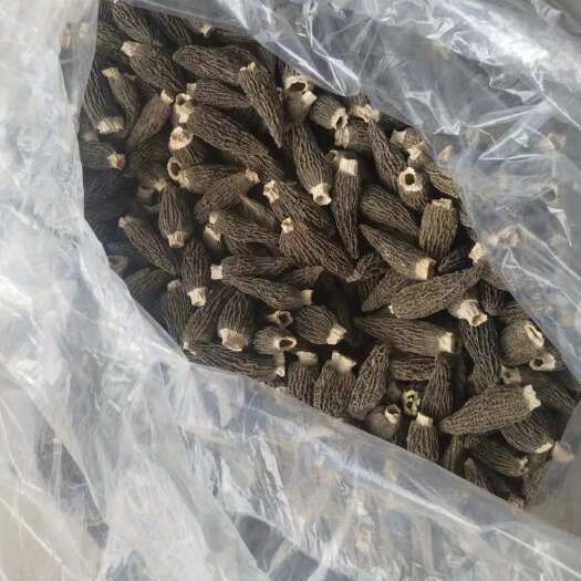 邢台优质羊肚菌干货正品大个特产食用煲汤食材新货产地直发