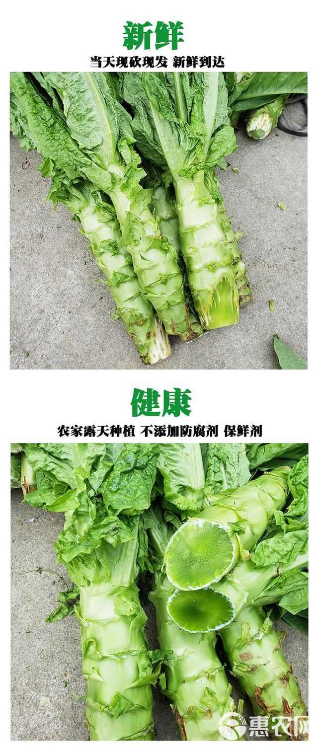 莴笋新鲜香莴笋青笋青皮青肉脆嫩尖叶莴苣笋春当季蔬菜新鲜一整箱