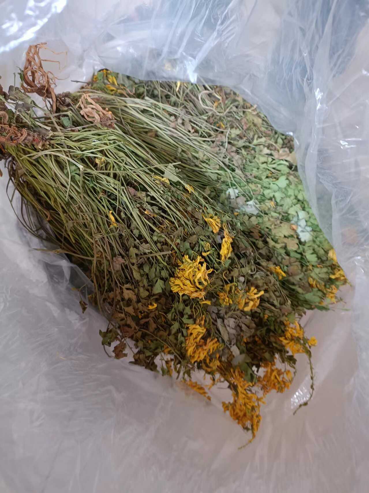 都安县自家的岩黄莲干货