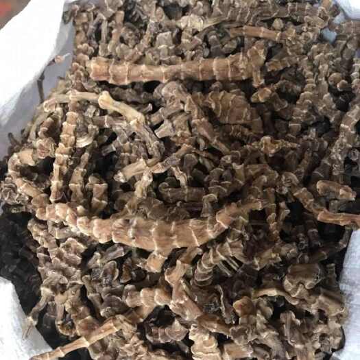 亳州虫草参【实图照片假一赔十】