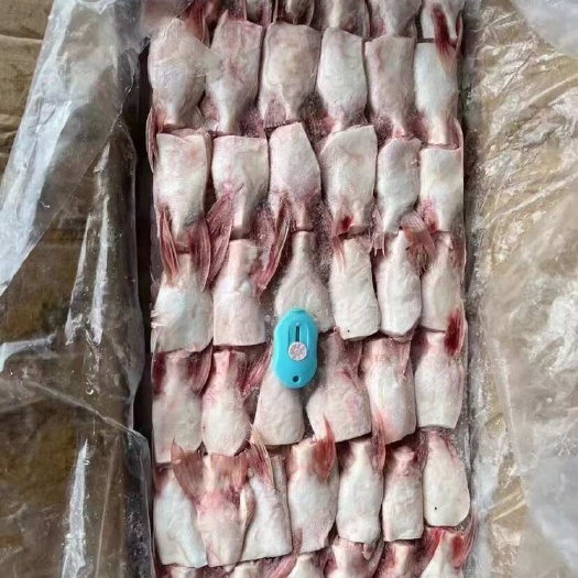 郑州巴沙鱼鳍，鱼翅，鱼腩。红烧，烧烤，清蒸，全国接单
