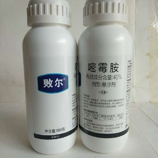 滨州嘧霉胺对灰霉病霜霉病有很好的防效，喷施后能迅速被植物吸收。
