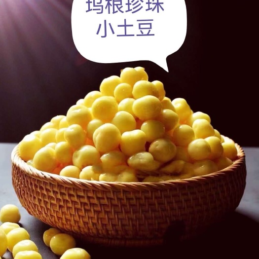 土豆