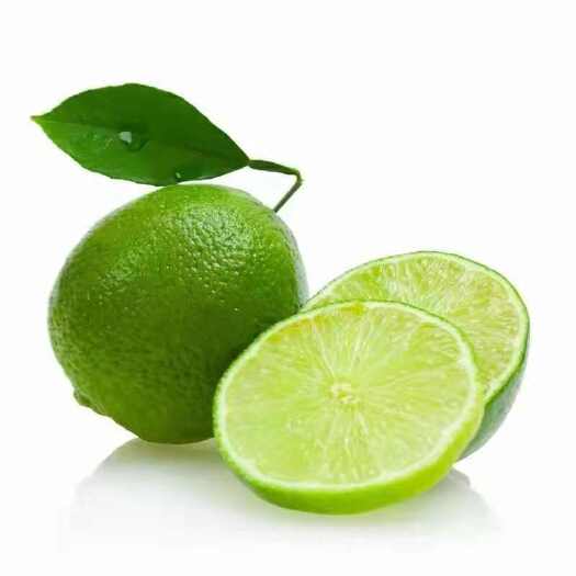 海口包邮海南有籽青柠檬本土特产新鲜水果茶饮店切片榨汁