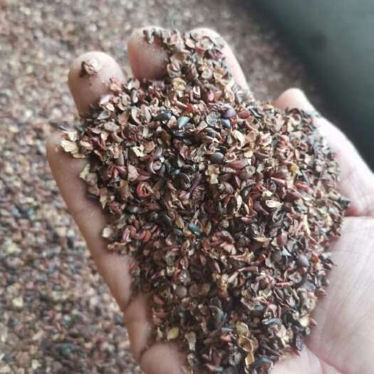  酸枣仁