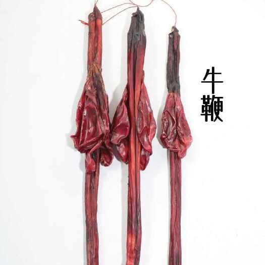 西宁牛鞭干整根选货带睾丸青藏特产泡酒包邮