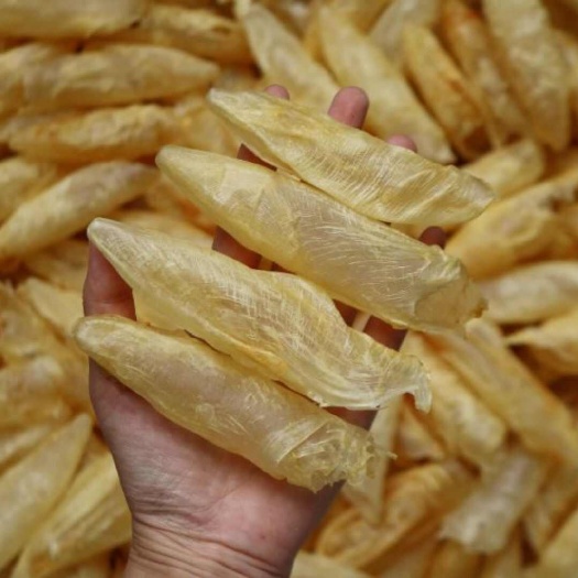 广州咸水黄花胶［包邮］营养价值很高 胶原蛋白含量丰富 泡发率高